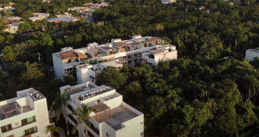 Many people decide to buy a vacation home in the Tulum jungle