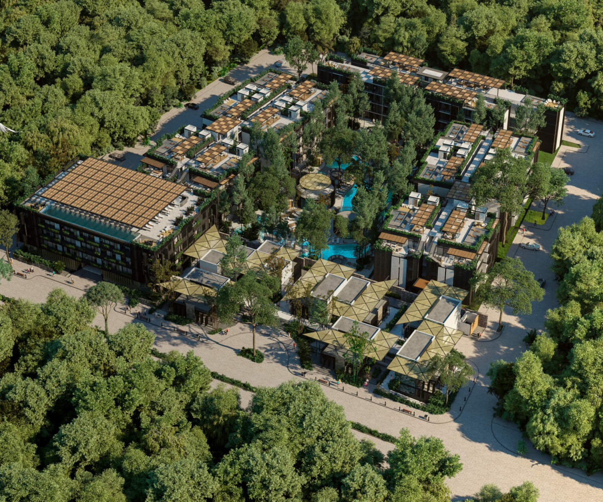 Naomi Selva Playa Del Carmen - featured image