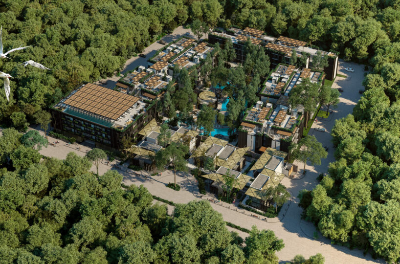 Naomi Selva Playa Del Carmen - featured image