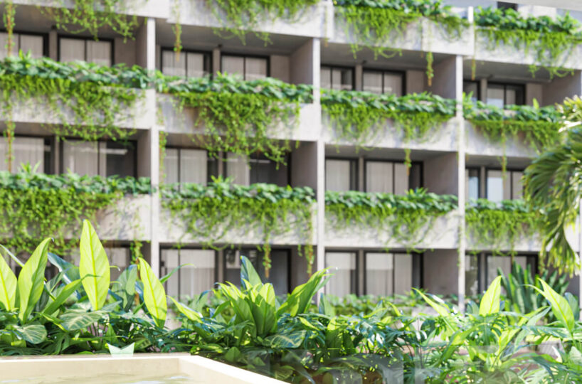 Julia Tulum - featured image