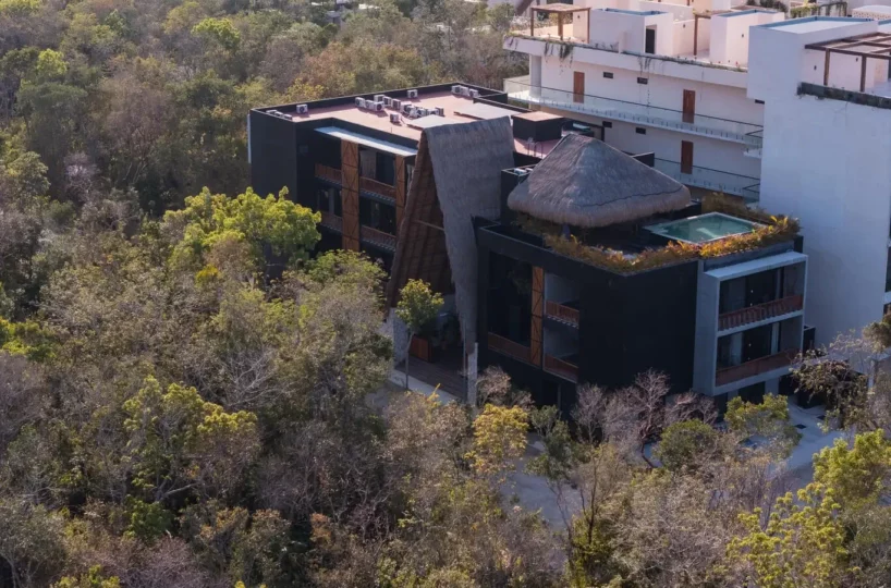 Hoja Santa Tulum - featured image